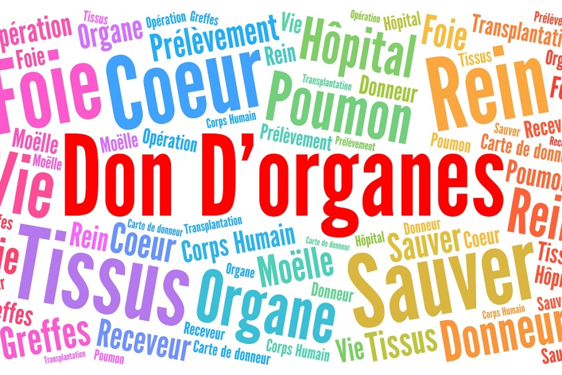 Le don d'organe : un geste de vie